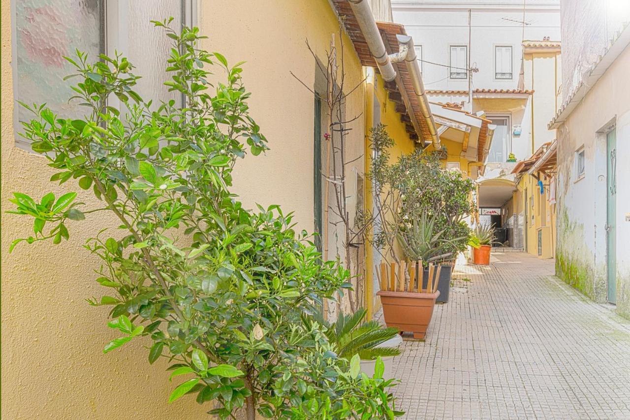 Cosy Duplex House In Downtown Lisboaヴィラ エクステリア 写真